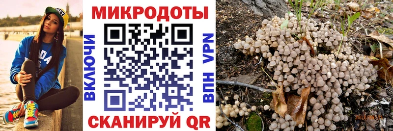 Псилоцибиновые грибы мухоморы  Железногорск-Илимский 