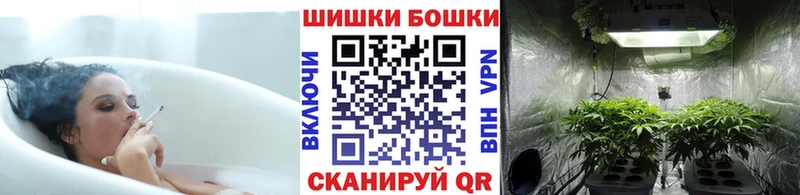 Бошки Шишки Ganja  ссылка на мегу ССЫЛКА  darknet формула  Железногорск-Илимский 